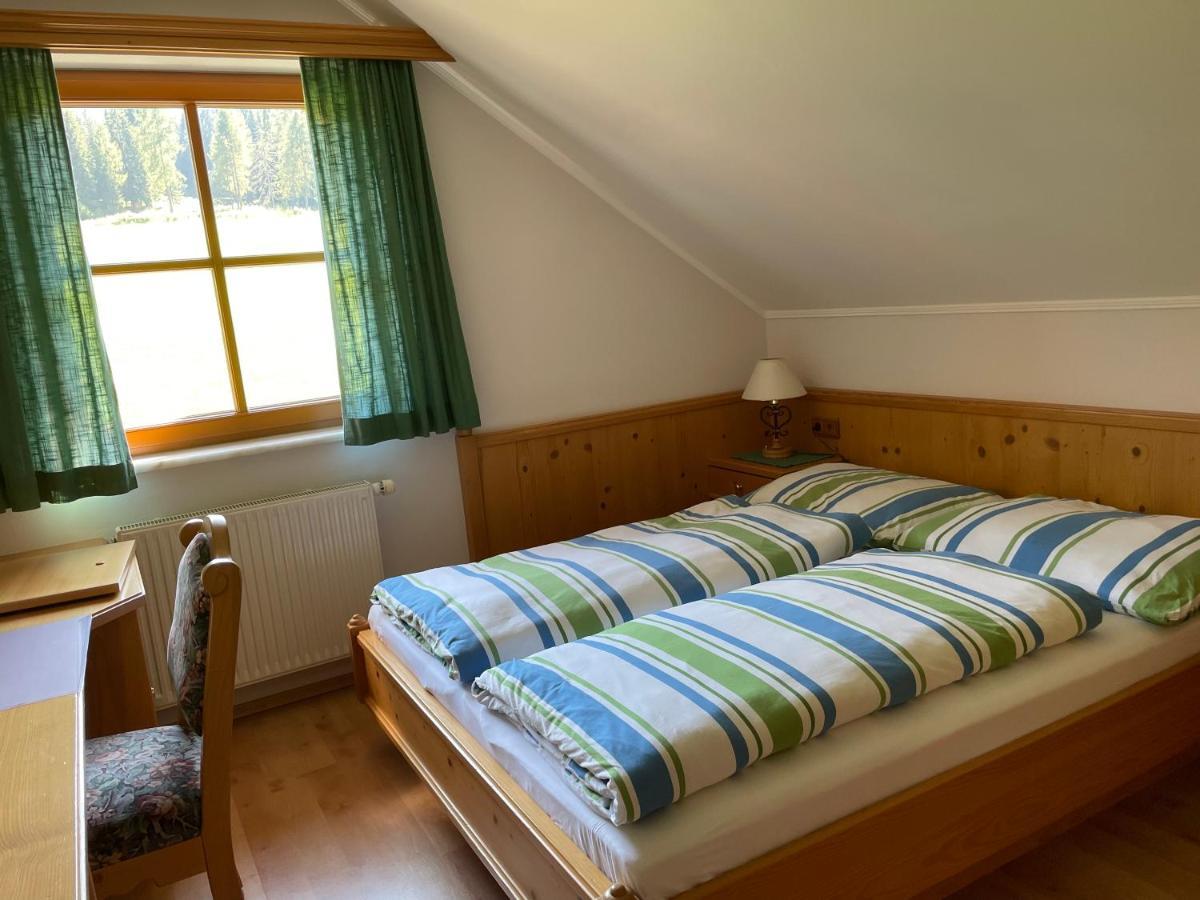 Ferienhaus Alpenblick Krakauschatten Εξωτερικό φωτογραφία