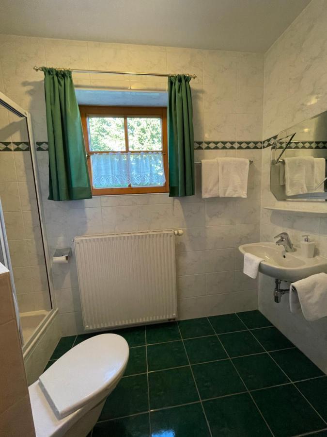 Ferienhaus Alpenblick Krakauschatten Εξωτερικό φωτογραφία