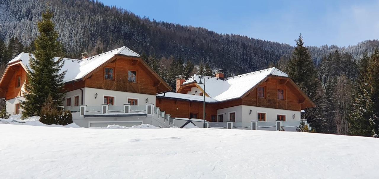 Ferienhaus Alpenblick Krakauschatten Εξωτερικό φωτογραφία